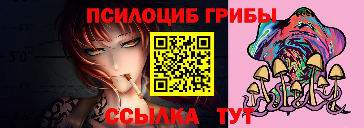 Бийск  Галлюциногенные грибы ЛСД  Вход с VPN 